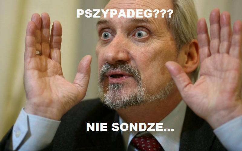 http://www.gwardia-wiecznej-zamieci.pun.pl/_fora/gwardia-wiecznej-zamieci/gallery/6_1381054379.jpg